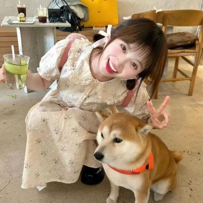 聊宅之超能姐姐大作战